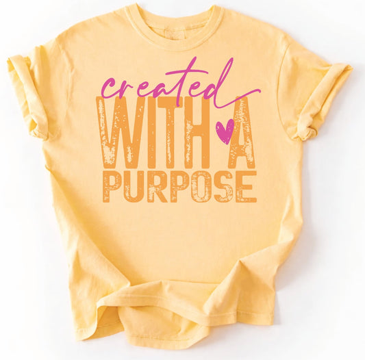 Created With a Purpose