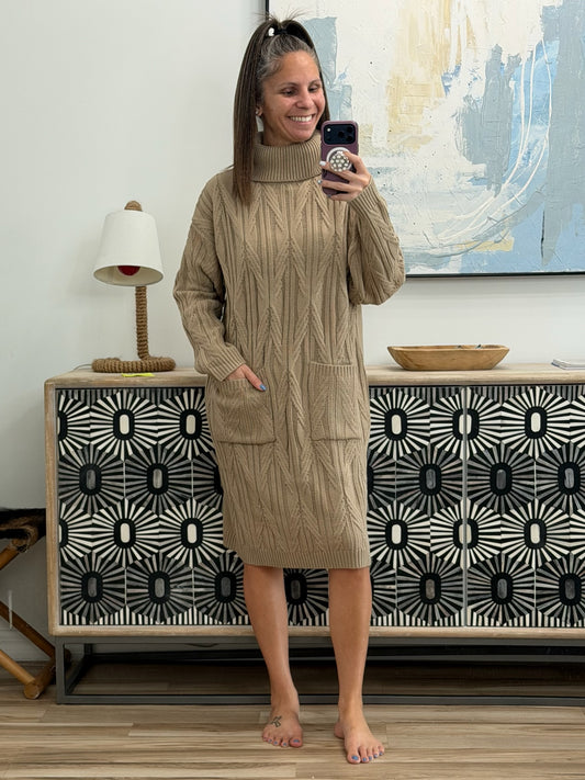 Bundled Beauty Turtleneck Sweater Dress