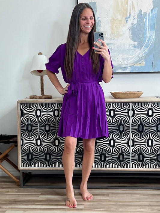 Hold And Squeeze Me Pleated Dress
