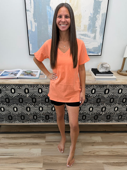 *Basic Bee V-Neck Tee