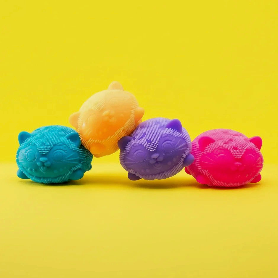 Squishy Extravaganza